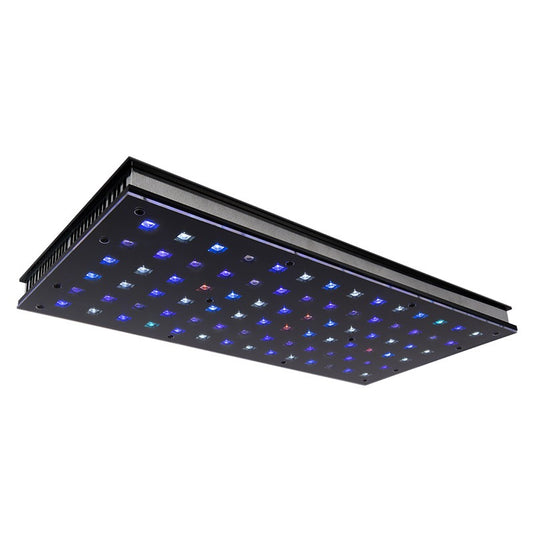 norphel c4